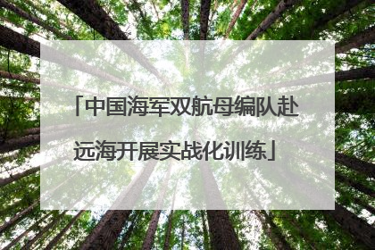 中国海军双航母编队赴远海开展实战化训练