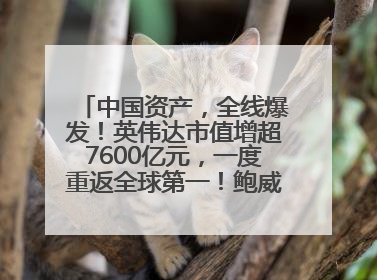 中国资产，全线爆发！英伟达市值增超7600亿元，一度重返全球第一！鲍威尔与特朗普会面，他们聊了什么？