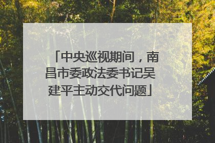 中央巡视期间，南昌市委政法委书记吴建平主动交代问题