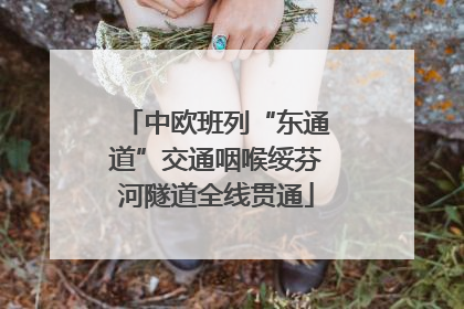 中欧班列“东通道”交通咽喉绥芬河隧道全线贯通