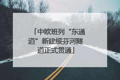 中欧班列“东通道”新建绥芬河隧道正式贯通