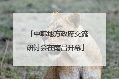 中韩地方政府交流研讨会在南昌开幕