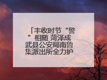 丰收时节“警”相随 菏泽成武县公安局南鲁集派出所全力护航大蒜收获季