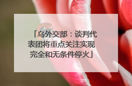 乌外交部：谈判代表团将重点关注实现完全和无条件停火