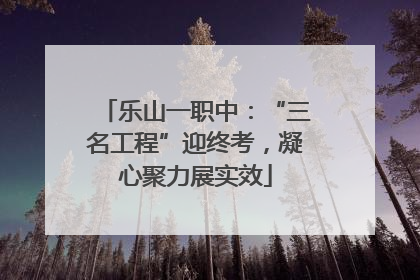 乐山一职中：“三名工程”迎终考，凝心聚力展实效