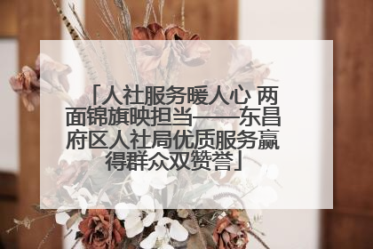 人社服务暖人心 两面锦旗映担当——东昌府区人社局优质服务赢得群众双赞誉