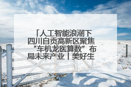 人工智能浪潮下 四川自贡高新区聚焦“车机龙医算数”布局未来产业丨美好生活有“盐”味