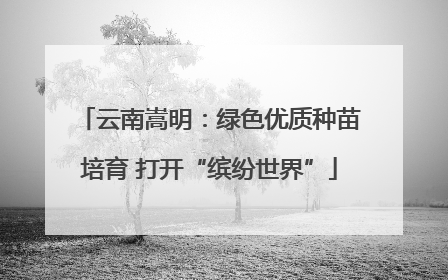 云南嵩明：绿色优质种苗培育 打开“缤纷世界”