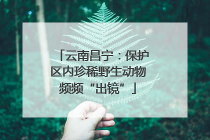 云南昌宁：保护区内珍稀野生动物频频“出镜”
