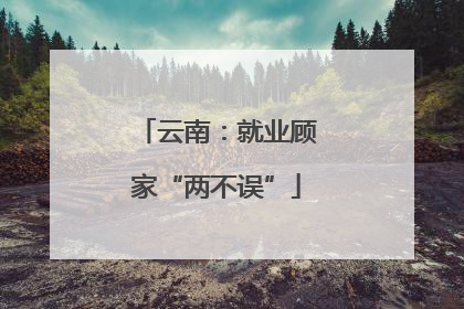 云南：就业顾家“两不误”
