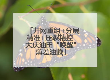井网重组+分层精准+压裂精控 大庆油田“唤醒”薄差油藏