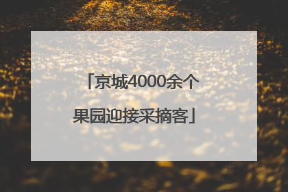 京城4000余个果园迎接采摘客