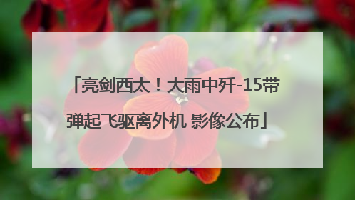 亮剑西太！大雨中歼-15带弹起飞驱离外机 影像公布
