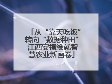 从“靠天吃饭”转向“数据种田” 江西安福绘就智慧农业新画卷