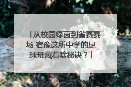 从校园绿茵到省赛赛场 宿豫这所中学的足球班藏着啥秘诀？