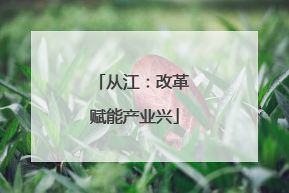从江：改革赋能产业兴