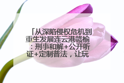 从深陷侵权危机到重生发展连云港赣榆：刑事和解+公开听证+定制普法，让玩具公司回到正轨