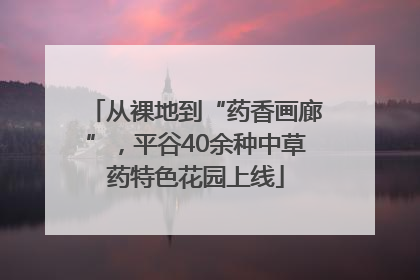 从裸地到“药香画廊”，平谷40余种中草药特色花园上线