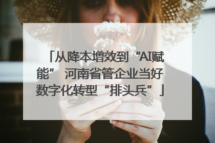 从降本增效到“AI赋能” 河南省管企业当好数字化转型“排头兵”