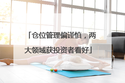 仓位管理偏谨慎，两大领域获投资者看好