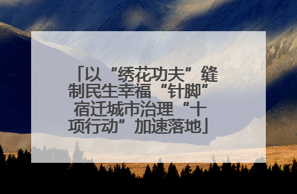 以“绣花功夫”缝制民生幸福“针脚” 宿迁城市治理“十项行动”加速落地