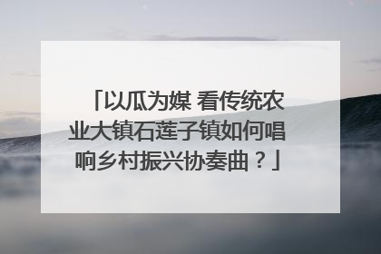 以瓜为媒 看传统农业大镇石莲子镇如何唱响乡村振兴协奏曲？