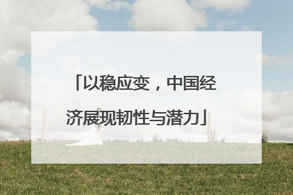 以稳应变，中国经济展现韧性与潜力