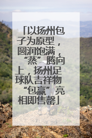 以扬州包子为原型，圆润饱满，“蒸”腾向上，扬州足球队吉祥物“包赢”亮相即售罄