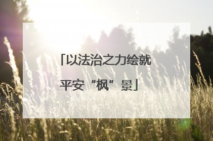 以法治之力绘就平安“枫”景