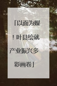 以面为媒！叶县绘就产业振兴多彩画卷