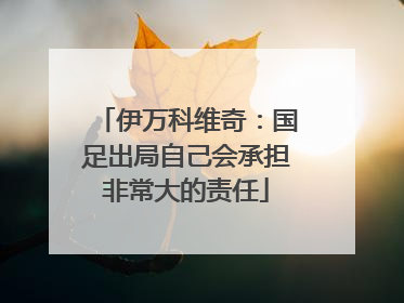 伊万科维奇：国足出局自己会承担非常大的责任