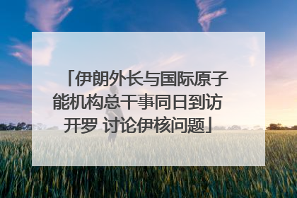 伊朗外长与国际原子能机构总干事同日到访开罗 讨论伊核问题