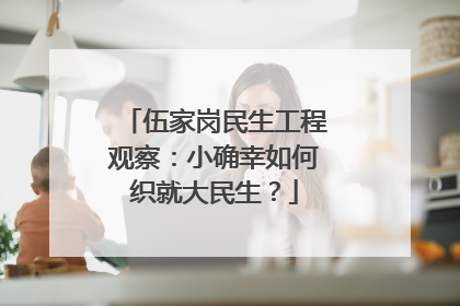 伍家岗民生工程观察：小确幸如何织就大民生？