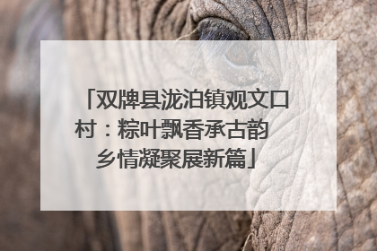 双牌县泷泊镇观文口村：粽叶飘香承古韵 乡情凝聚展新篇