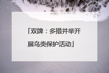 双牌：多措并举开展鸟类保护活动