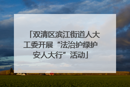 双清区滨江街道人大工委开展“法治护绿护安人大行”活动