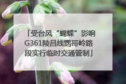 受台风“蝴蝶”影响 G361陵昌线鹦哥岭路段实行临时交通管制