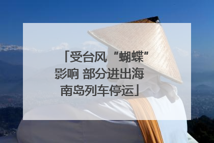 受台风“蝴蝶”影响 部分进出海南岛列车停运