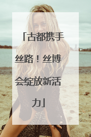 古都携手丝路！丝博会绽放新活力