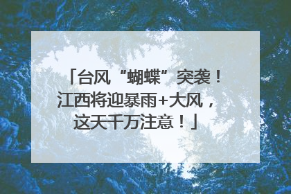 台风“蝴蝶”突袭！江西将迎暴雨+大风，这天千万注意！