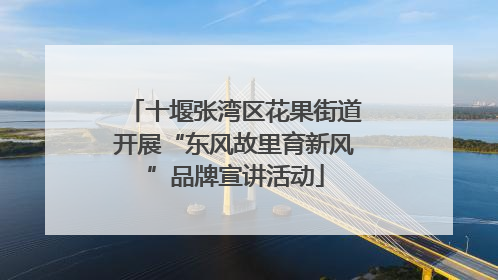 十堰张湾区花果街道开展“东风故里育新风”品牌宣讲活动