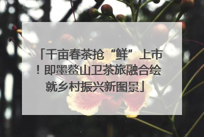 千亩春茶抢“鲜”上市！即墨鳌山卫茶旅融合绘就乡村振兴新图景