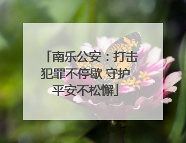 南乐公安：打击犯罪不停歇 守护平安不松懈