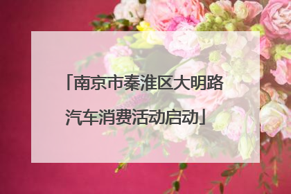 南京市秦淮区大明路汽车消费活动启动