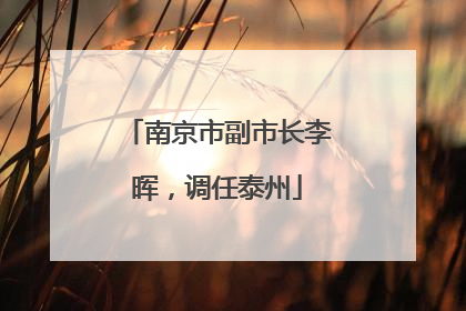 南京市副市长李晖，调任泰州