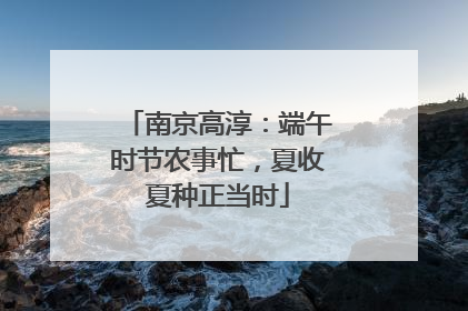 南京高淳：端午时节农事忙，夏收夏种正当时