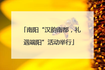 南阳“汉韵南都，礼遇端阳”活动举行