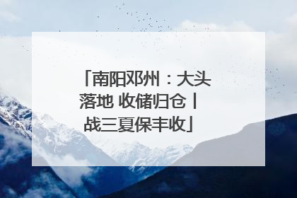 南阳邓州：大头落地 收储归仓丨战三夏保丰收