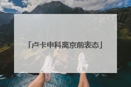 卢卡申科离京前表态