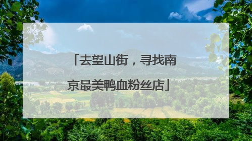 去望山街，寻找南京最美鸭血粉丝店